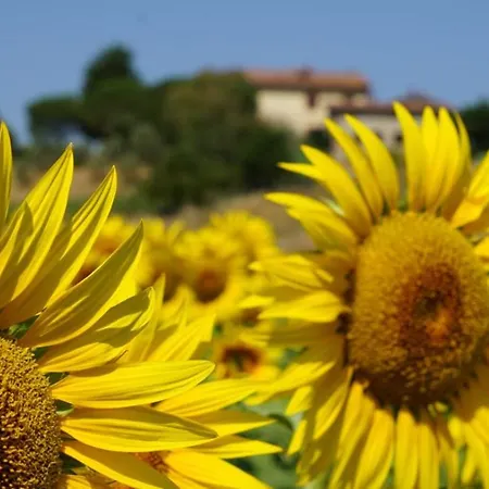 Apartment Naturadix Agricole Torrita di Siena